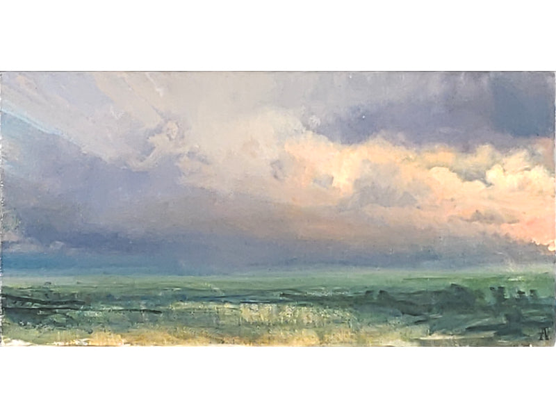 cloud study by Adriano Farinella, oil