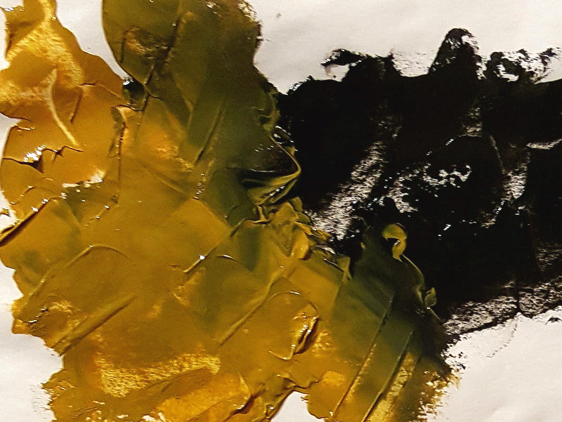 In another example of mixing, Ivory Black is at right and gently mixing into Mars Yellow to its left, creating a rich green gold mixture.
