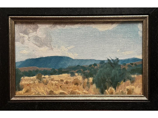 new oil by Seth Tummins, titled Medanales, New Mexico, painted on location
