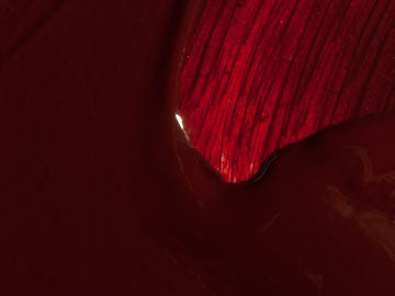 Capucine Red Deep artists oil color