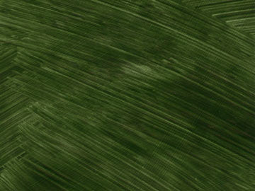 Italian Green Earth - Terra Verde Brentonico artists oil color