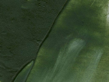 Italian Green Earth - Terra Verde Brentonico artists oil color