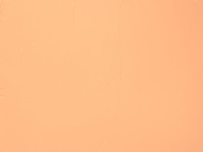 Painted swatch of new chromatic gray Cara Cara