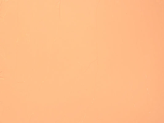 Painted swatch of new chromatic gray Cara Cara
