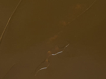 French Raw Sienna, Light artists oil color