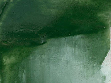 Cyprus-Terra Verde Nicosia artists oil color